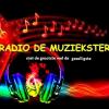 Radiodemuziekster