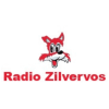 Radio Zilvervos